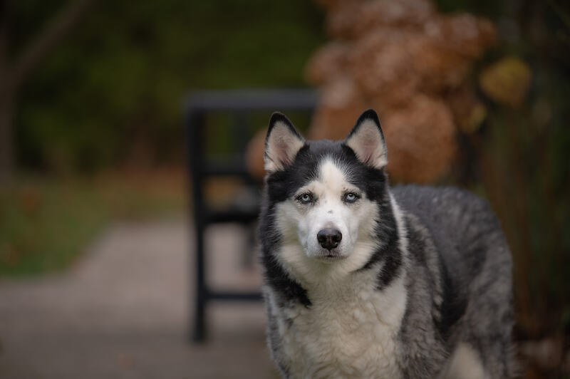 DSC_0310