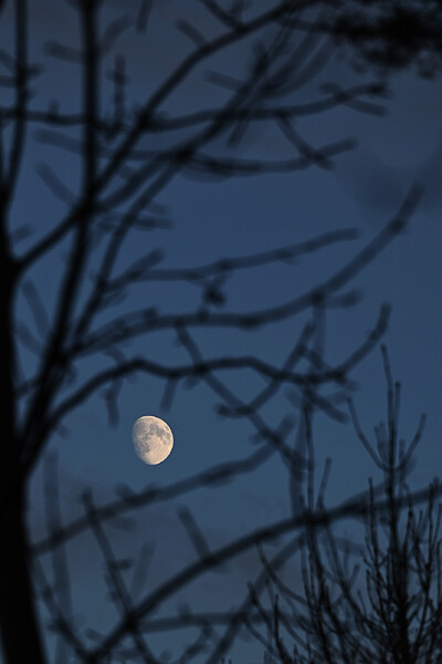 moon_1