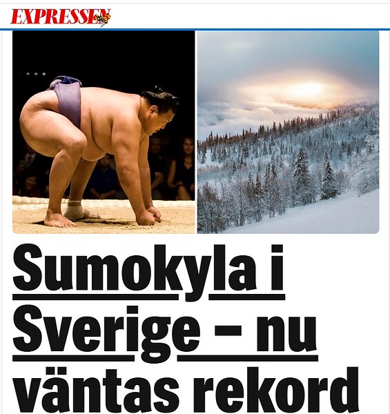 sumo