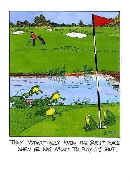 FB_IMG_1701674584379