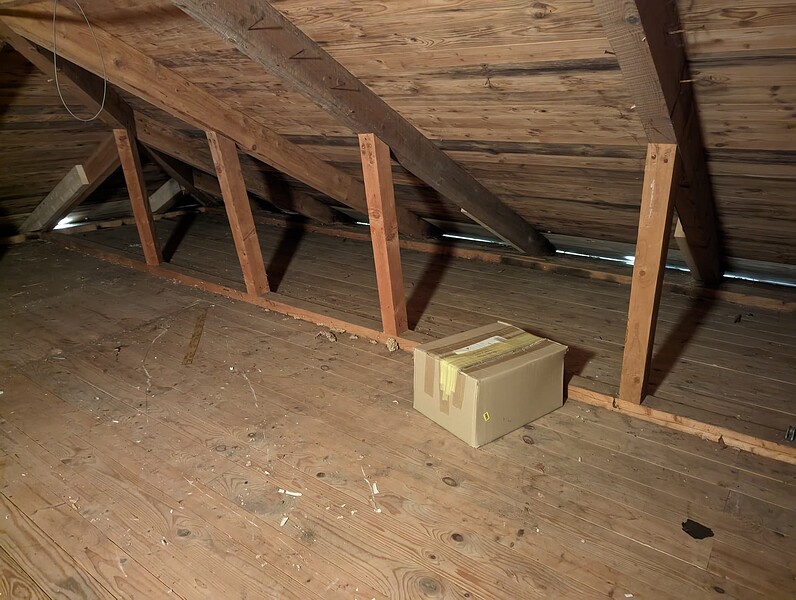 PXL_20230328_155056542