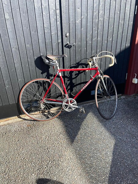 pinarello