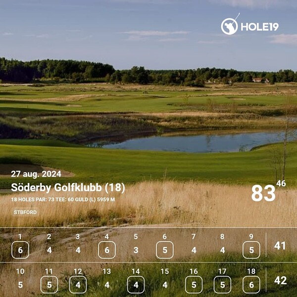 hole19_share_round_scorecard_1724790964102
