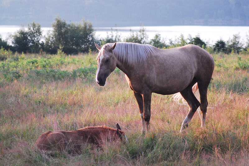 DSC_0075