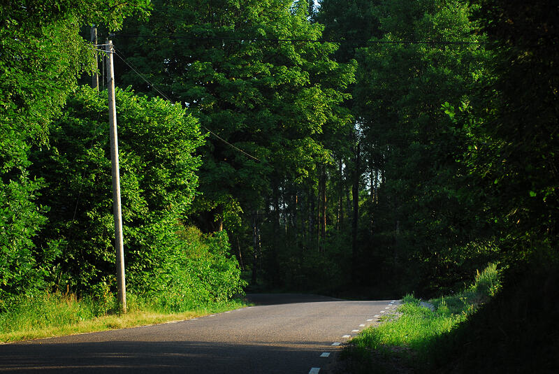 DSC_0091